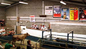 The sample presented is from a survey carried out in West Cork and Kerry