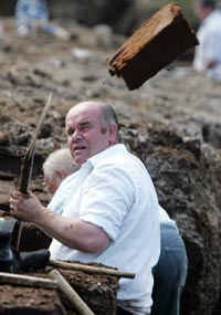 TURF: EU Habitats Directive makes no sense when it comes down to someone who just wants to cut for domestic fuel for their own home