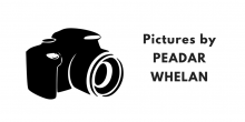 Pictures by Peadar Whelan Updated AGAIN