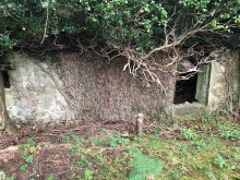 The cottage has fallen into a state of disrepair in recent years