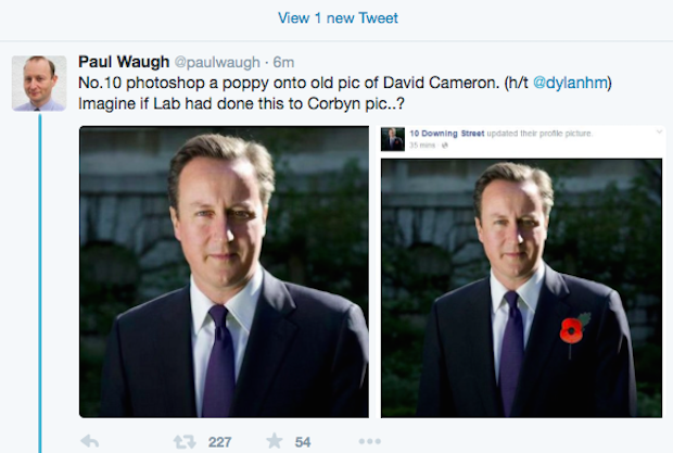 Cameron phtoshopped poppy