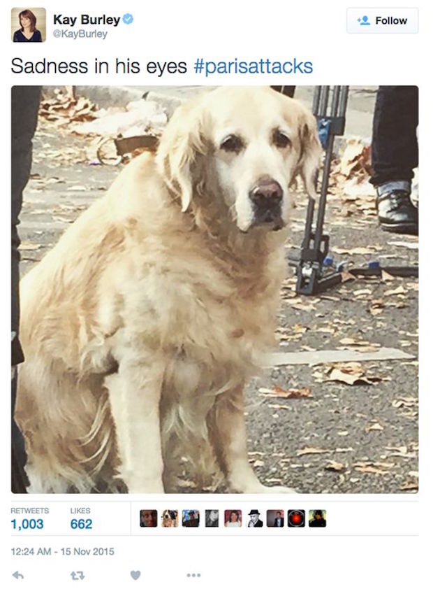 Poppy bullying – Kay Burley #parisattacks