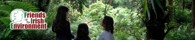 Friends of the Irish Environment
