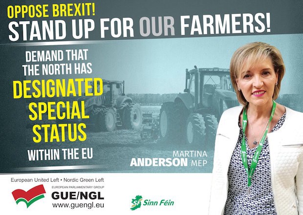 Martina Anderson GUE ad Designated Status