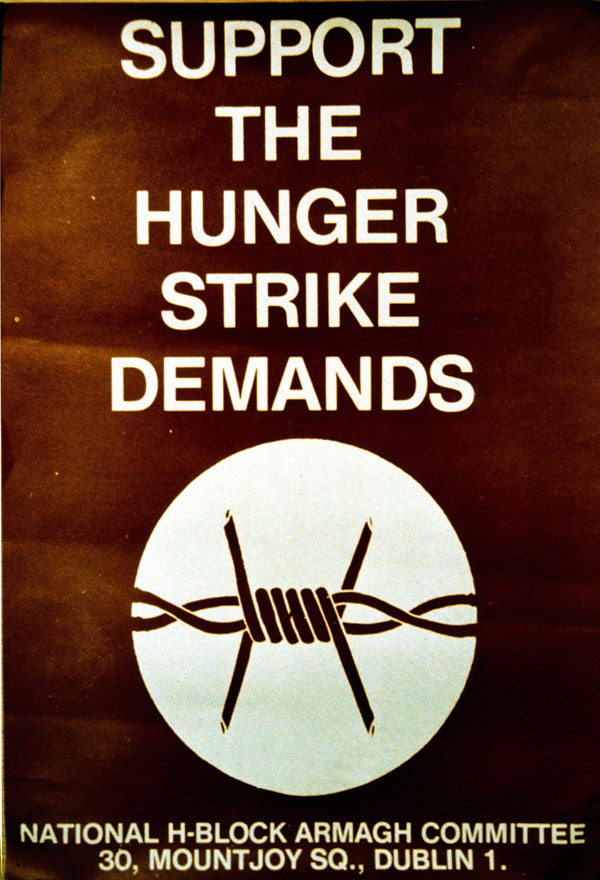Support the Hunger Strike poster