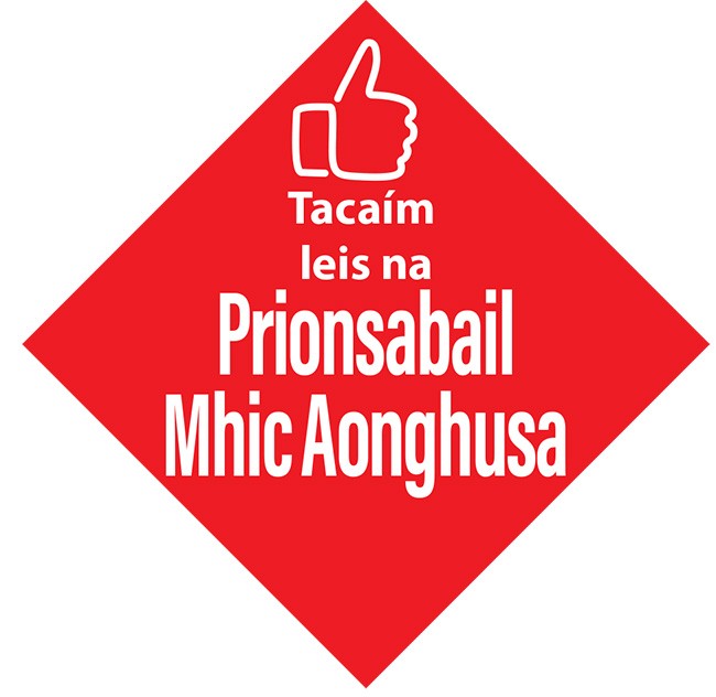 McGuinness Principles poster Irish