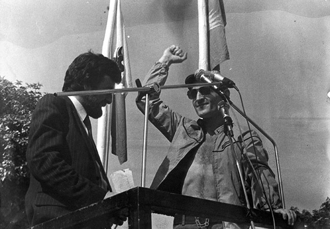 1981