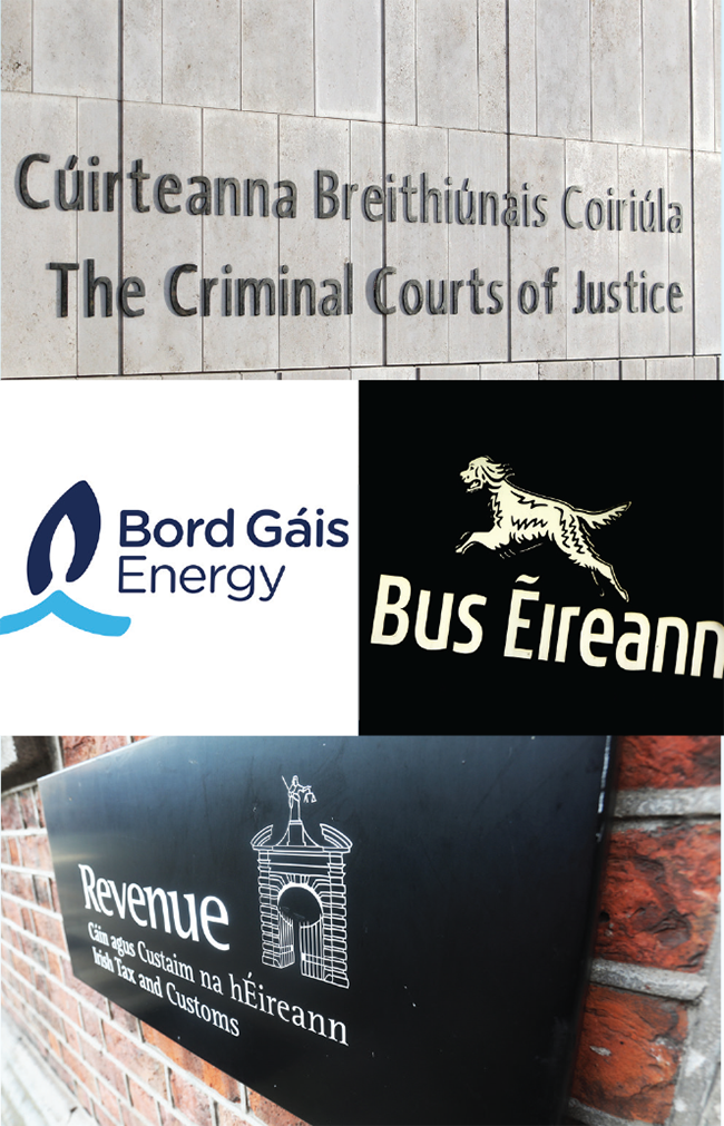 Eoghan Ó Finn article 2