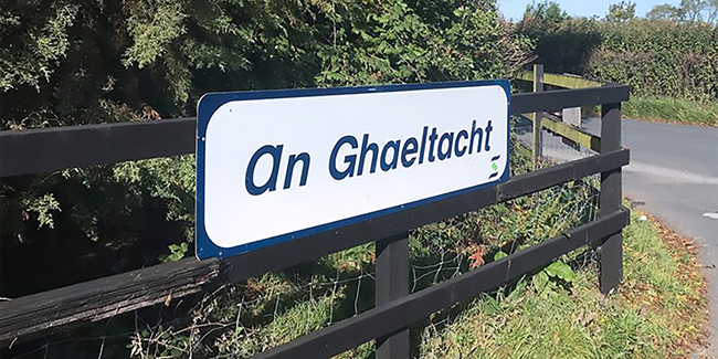Ghaeltacht learning 1