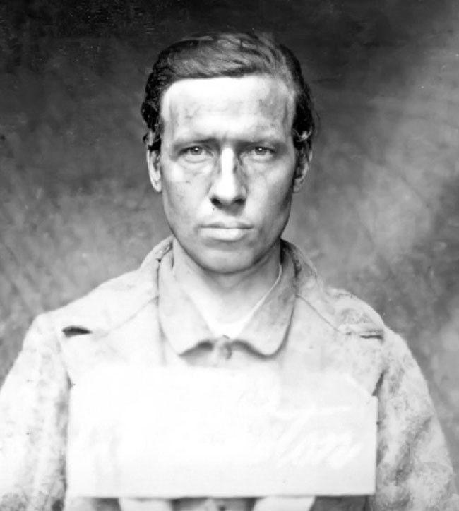 Catalpa Robert Cranston