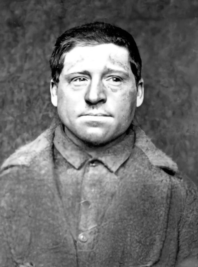 Catalpa Thomas Darragh