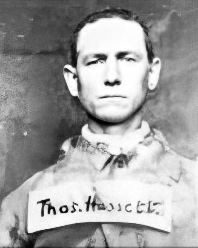 Catalpa Thomas Hassett