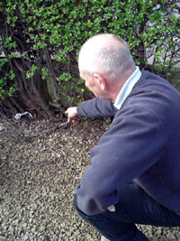 A Whitewell resident shows where unionist paramilitaries planted a bomb in his garden