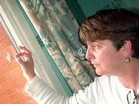 Veronica Willis examines the damage to her window