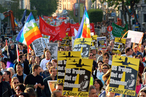 A section of the Dublin protest
