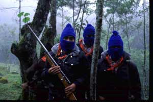 Zapatista National Liberation Army