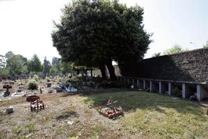 ‘Angels’ plots at Glasnevin Cemetery